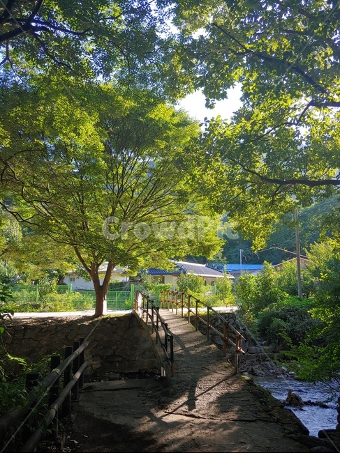 힐링,자연,산책,여름,휴식