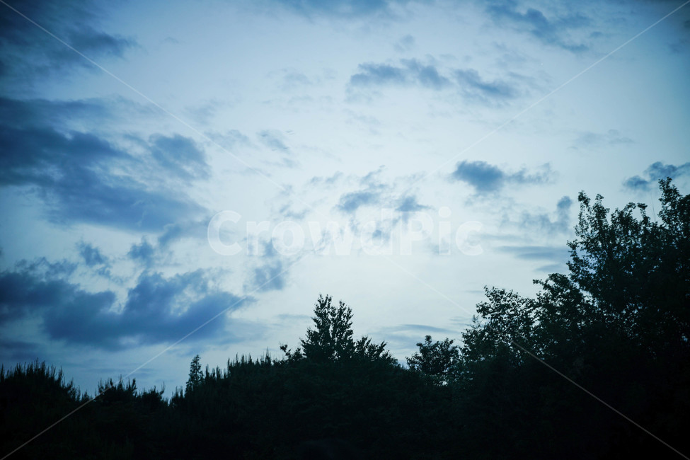 하늘,밤하늘,밤이오기전,나무,숲,구름,파란,어두운,어둠,조용한,자연,풍경,nature,landscape,실루엣,그림자,silhouette,shadow,plant,식물,tree,outdoors,옥외
