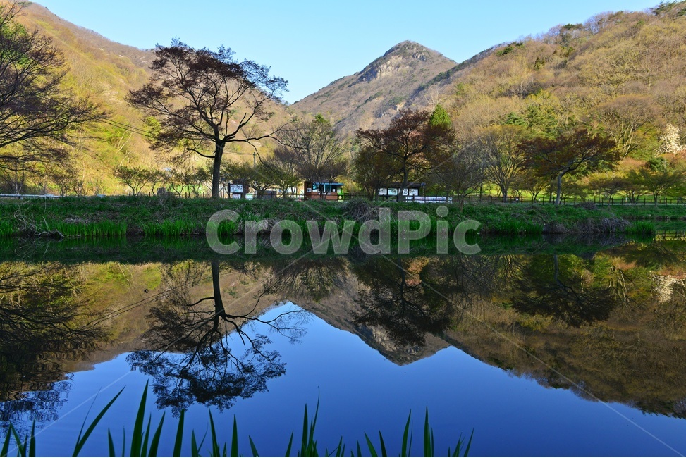 water,물,plant,식물,asphalt,nature,자연,outdoors,옥외,경치,경관,풍경,장성,백양사,백양사봄,봄,계절,연못,반영,벡학봉
