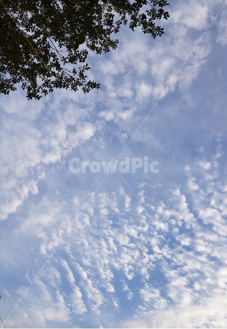 하늘,구름,cloud,자연,nature