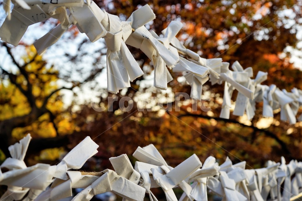 소원,종교의식,불교,흰종이,paper,종이접기,측원문
