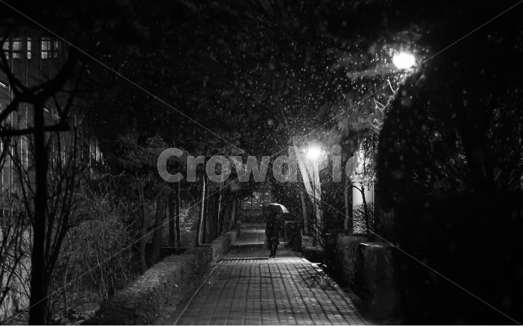 눈,동네,가로등,밤,야경,감성,길,겨울,계절,winter,season,고독함,외로움,쓸쓸함,우울함,슬픔,lonely,solitary,흑백,모노톤,monochrome,black and white