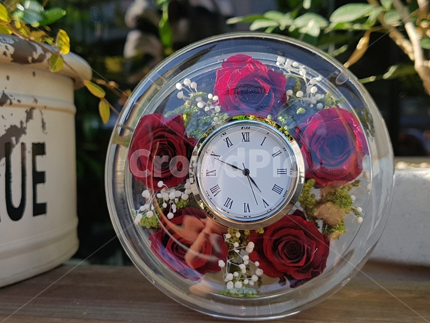꽃선물,장미꽃,시계,장미,clock,꽃,flower
