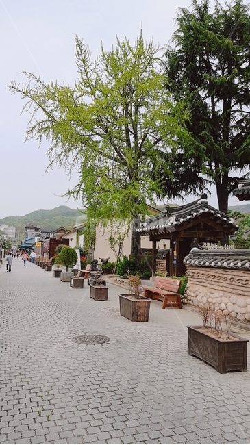 전주한옥마을,한옥마을,길,한옥마을내부,한옥마을경치