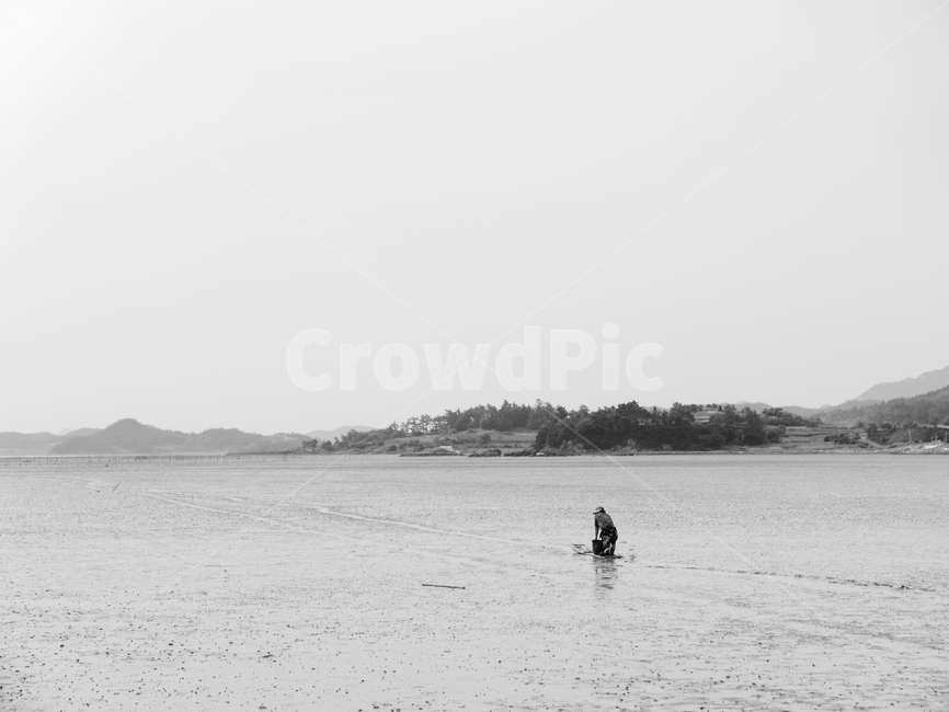 뻘배,갯벌,뻘,간조,어촌,어획,바다,물빠진바다,어업,fishery,fishing industry