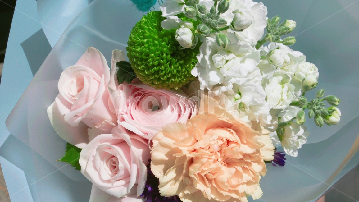 꽃,장미,꽃다발,사랑,식물,자연,꽃,flower,기념일,축하,anniversary,congratulation,celebrate,celebration