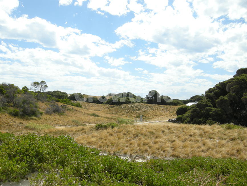 로트네스트,rottnest,호주,퍼스,섬,nature,자연,들