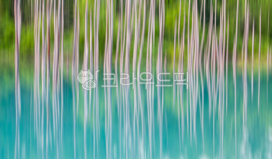 blue pond,pond,in the woods,forest,dead wood,reflection,nature,Hokkaido,hokkaido,Aoiike,blue,outdoors,mysterious,garden,lake,park