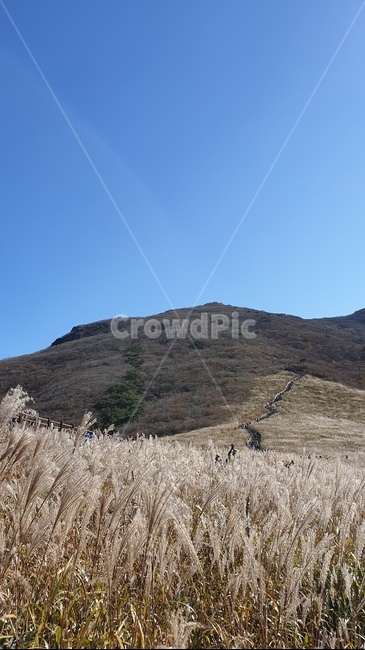 산,갈대,하늘,등산,억새,간월재