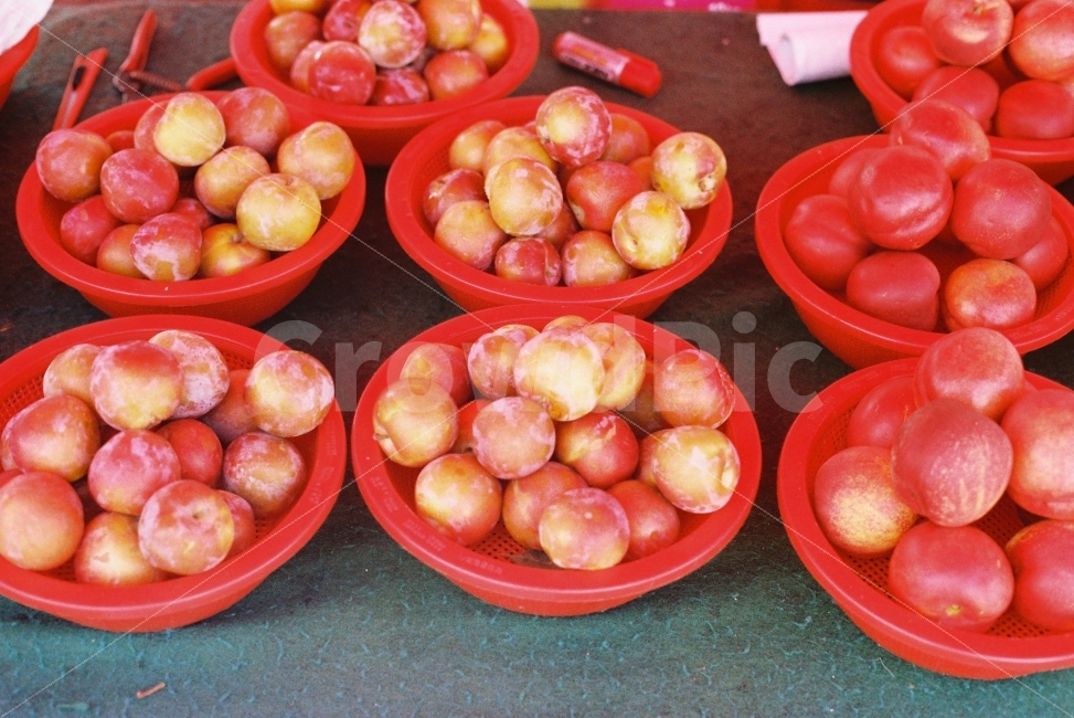 자두,과일,시장,필름사진,minoltasrt303b,시장,마트,마켓,market,mart,market place,음식,식재료,요리,food,cook,meal,dishes,food reserves,과일,열매,fruit