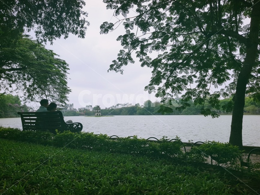 연인,벤치,호수,자연,뒷모습