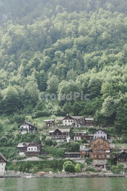오스트리아,할슈타트,잘츠부르크,동유럽,유럽,잘츠부르크근교,호숙가,hallstatt,잘츠커머구트,할슈타트호수마을,호수마을,감성,austria,europe,도시,풍경,city,landscape,해외,외국,세계,foreign,oversea,world,세계도시풍경,해외도시풍경,외국도시풍경,world cityscape,tree,나무,plant,식물