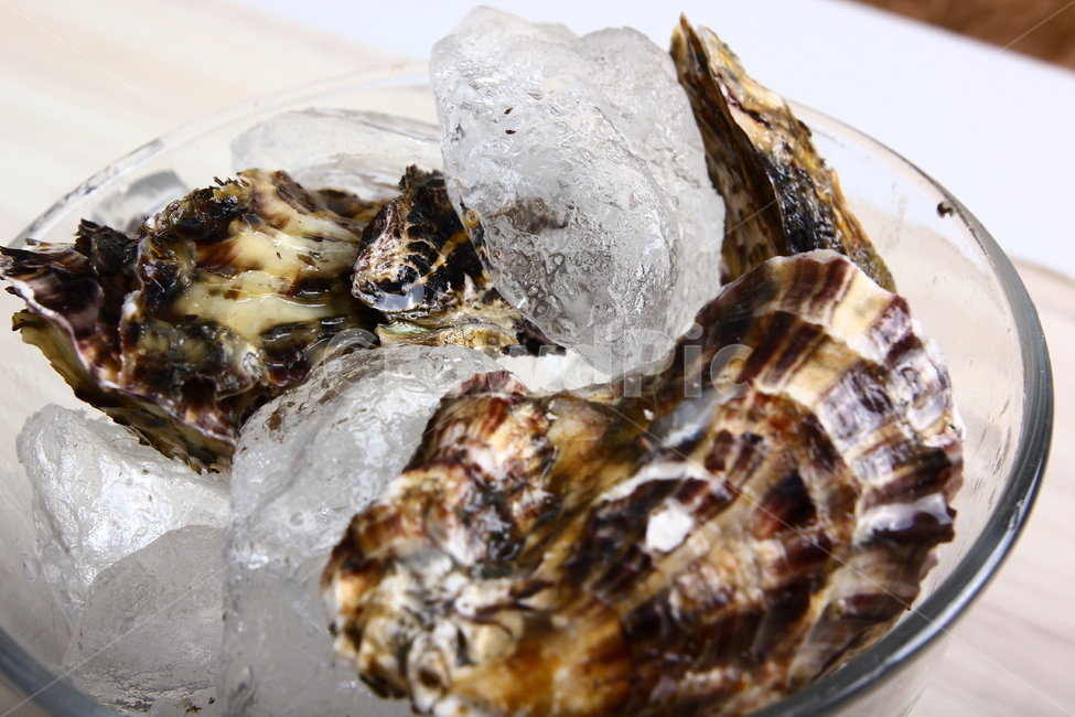석화,굴,생굴,해산물,조개,신선,싱싱,음식,식품,dish,oysters,seafood,shellfish,fresh,crispy,food,음식,식재료,요리,food,cook,meal,dishes,food reserves,수산물,해산물,fishery products,seafood