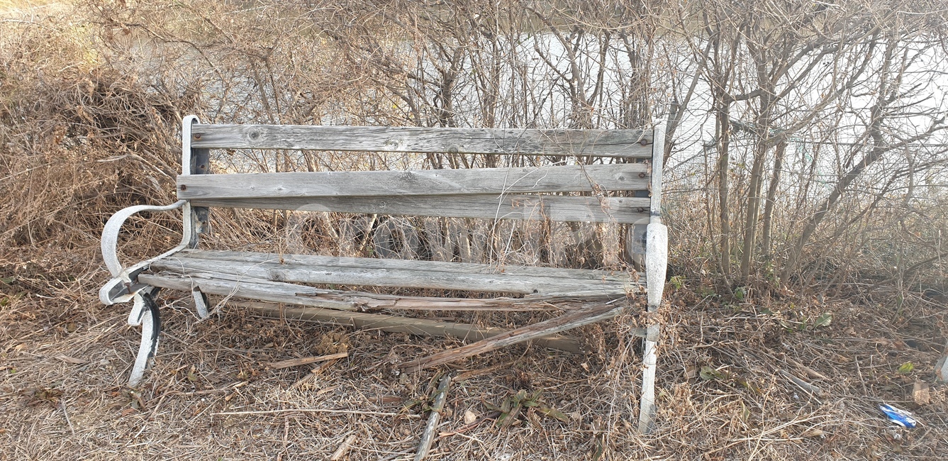 감성사진,파괴된,황량한,쓸쓸한,벤치,bench,공원벤치,parkbench,가구,furniture,분위기있는