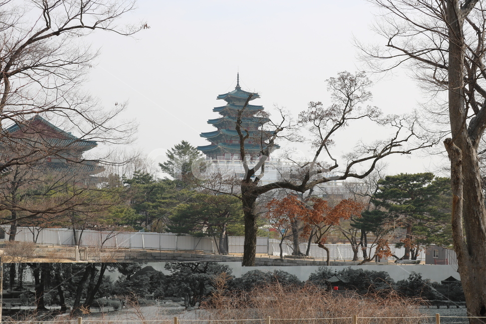 풍경,경복궁,식물,건축물,감성,배경,아름다운,화려한,힐링,랜드마크,landmark,tourist attraction,한국랜드마크,한국관광지,한국명소,korea landmark,korea tourist attraction