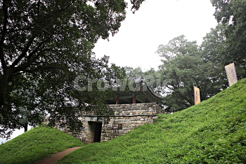 공주산성,산성,성,성곽,길,둘레길,숲,숲길,안개,돌담,담,여름,풍경,벽,방어벽,흙담,나무,식물,유네스코등제