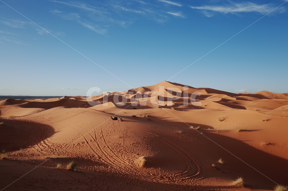 사막,desert,사하라사막,saharadesert,낙타,camel,그림자,shadow,일몰,선셋,sunset,붉은색,red,nature,자연,outdoors,옥외,sand,모래,dune,모래언덕,sunlight,빛,자연,풍경,nature,landscape,해외,외국,세계,foreign,oversea,world,세계자연풍경,해외자연풍경,외국자연풍경,world nature landscape