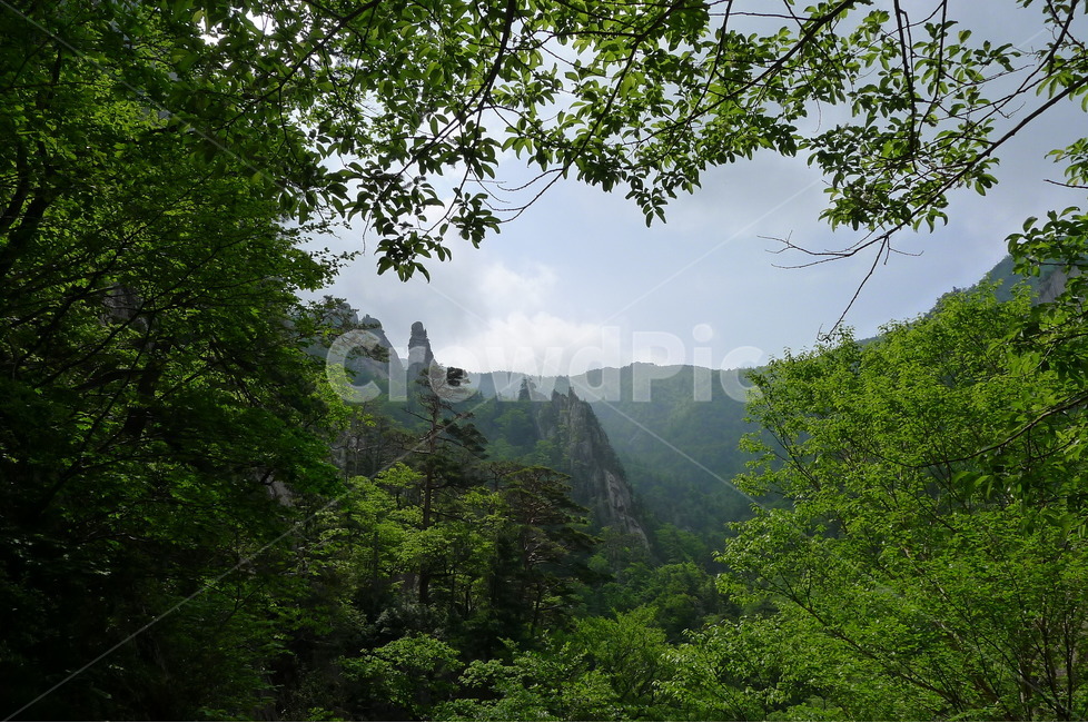 설악산,용아장성,수렴동계곡,봉정암,초록,자연,풍경,nature,landscape,한국자연풍경,한국자연경관,korea nature landscape,outdoors,옥외
