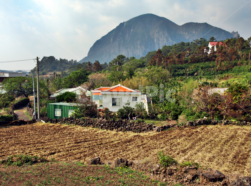 민가,산방산,화순,제주,서귀포시,제주도,jeju,jeju island,시골,마을,풍경,landscape,country,rural,town,nature,자연,outdoors,옥외,building,건물
