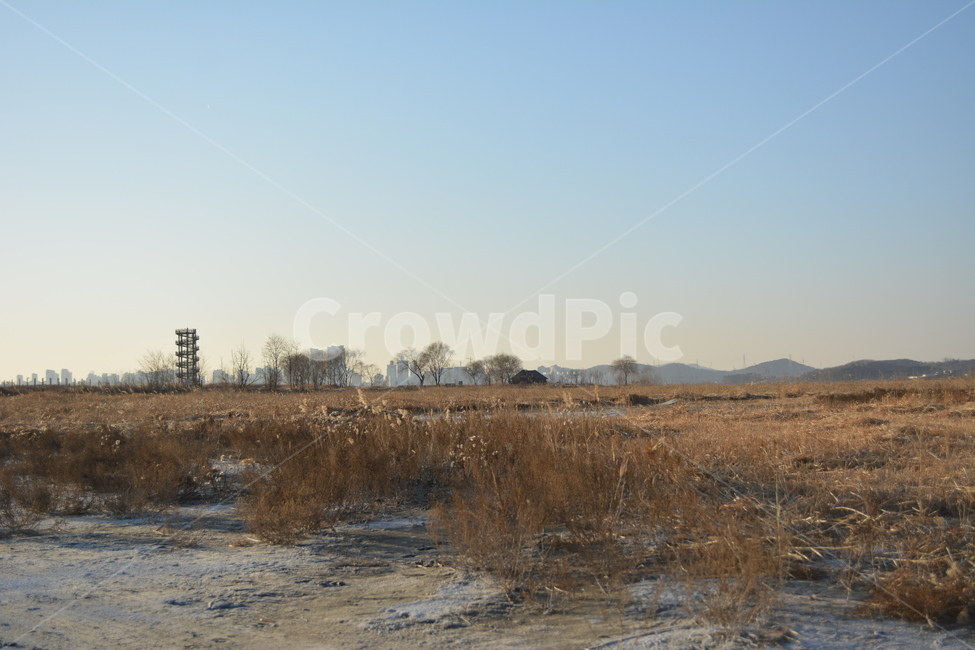 nature,자연,땅,옥외,겨울