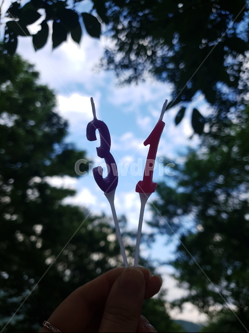 31살,생일,숲속,자연,배경,생일초,초,31