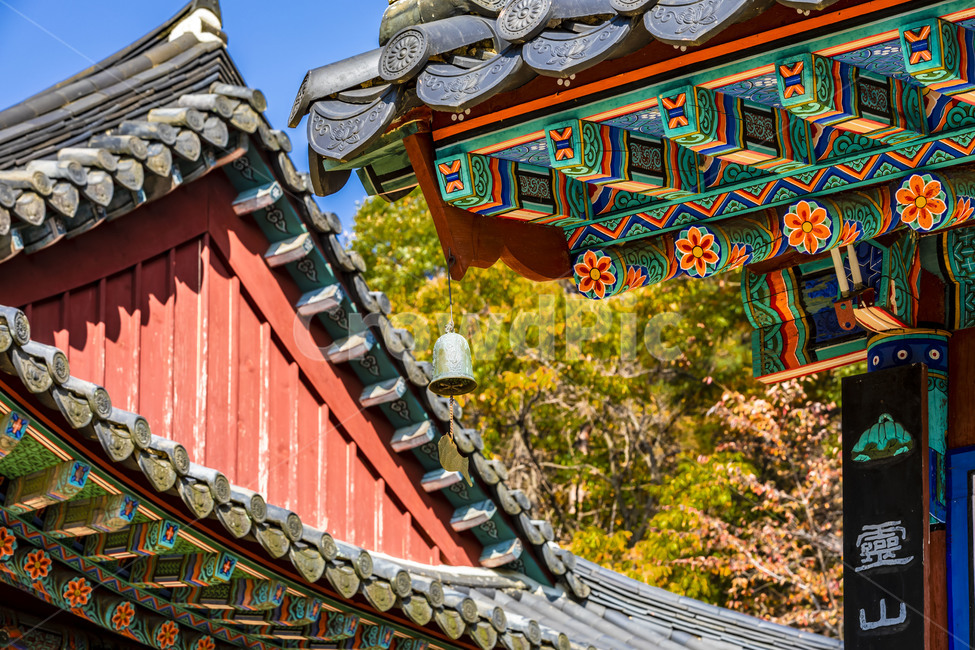 청평사,전통가옥,단청,기와지붕,처마,문화유산,가을,단풍,하늘,자연,지붕,roof,건축물,한국전통,한국문화,korean traditional,korean culture,건축물,건물외관,exterior,building,structure,architecture,construction