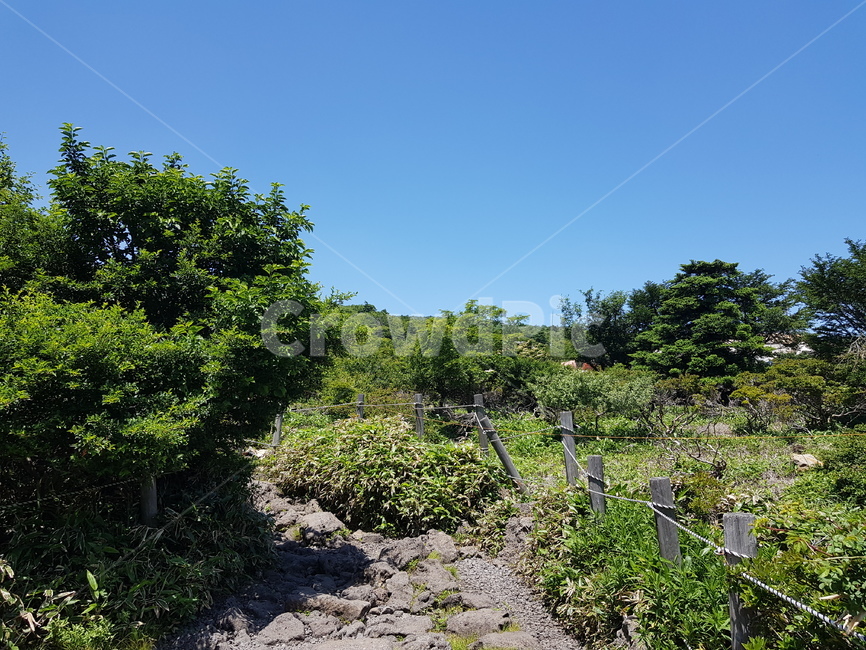 배경화면,자연풍경,경치,한라산,자연배경,등산,나무,산,등산길,제주도,한라산등산,여름,가을,하늘,자연,배경,풍경,멋진경치,nature,언덕,hill,옥외