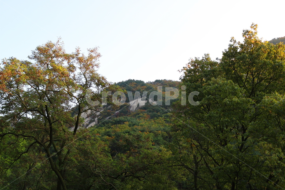 산,북한산,나무,식물,자연,풍경,등산로,산책로,공원,국립공원,북한산국립공원,소나무,자연,풍경,nature,landscape