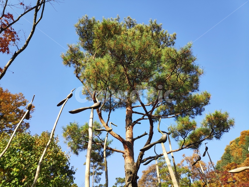 tree,솟대,plant,나무,산책,가을,계절,fall,autumn,season,식물