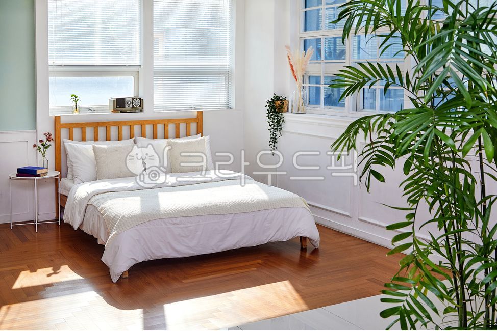 bed,studio,sunshine,woodenbed,rentalstudio,interior,bedding,pot,furniture,modern architecture,living room,Rental Studio,livingroom,floor,modernarchitecture,tree,lamp,It is comfortable,room,comfort,wooden bed,flower,sunlight,one room,light,comfortable,plan