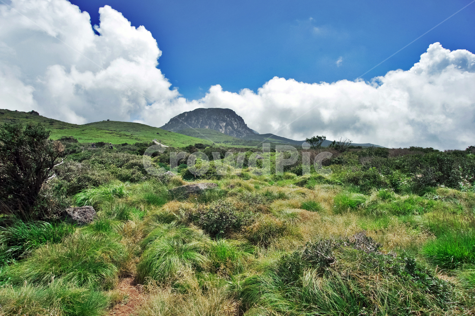 제주도,한라산,윗세오름,명산,영실코스,자연,신록,계절,자연,풍경,nature,landscape,한국자연풍경,한국자연경관,korea nature landscape,제주도,jeju,jeju island