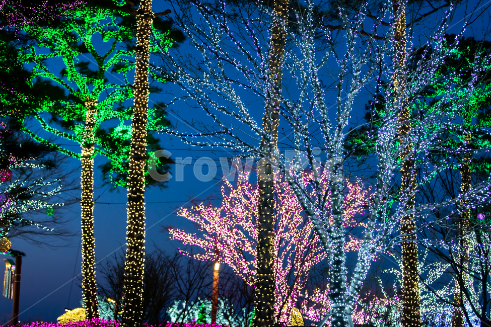 꼬마전구,조명,나무,전구,보케,빛망울,나뭇가지,장식,장식품,인테리어,소품,엘이디,빛,불빛,전기,전등,크리스마스,성탄절,연말,송년,분위기,겨울,겨울나무,오브젝트,실외,tree,lamp,light,led,lighting,object,야경,밤,풍경,nightscape,night,landscape