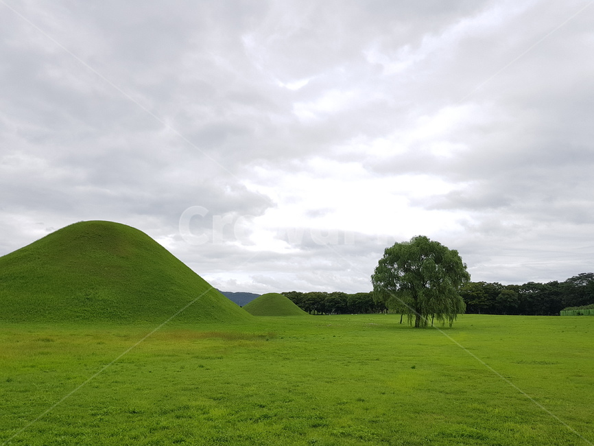 풍경,감성,나무,초록,안정,힐링,휴식,green,tree,자연,풍경,nature,landscape,outdoors,옥외,grassland,목초지,field,들