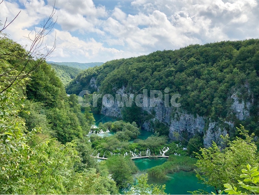 landscape,croatia,plitvice,크로아티아,플리트비체,플리트비체국립공원,scenery,view,scene,자연,풍경,nature,landscape,해외,외국,세계,foreign,oversea,world,세계자연풍경,해외자연풍경,외국자연풍경,world nature landscape,outdoors,옥외,plant,식물,tree,나무,abies,아비,fir,전나무,vegetation,초목