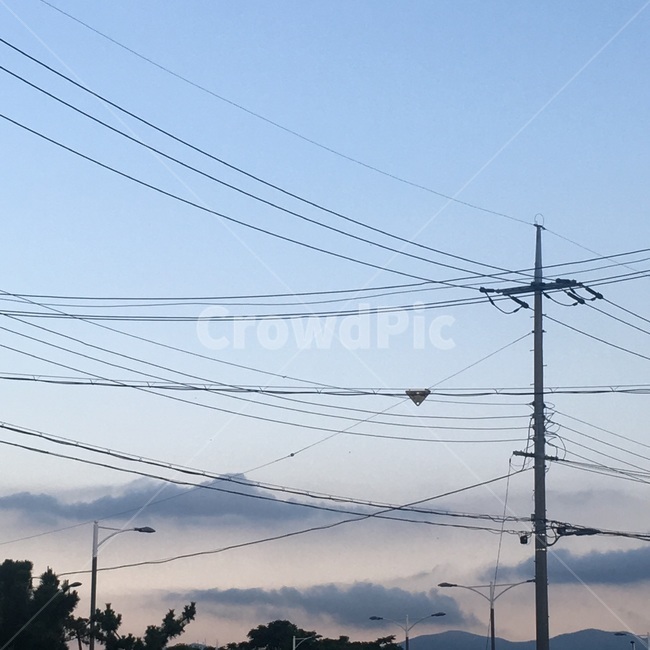 cable,케이블,구름,감성,나무