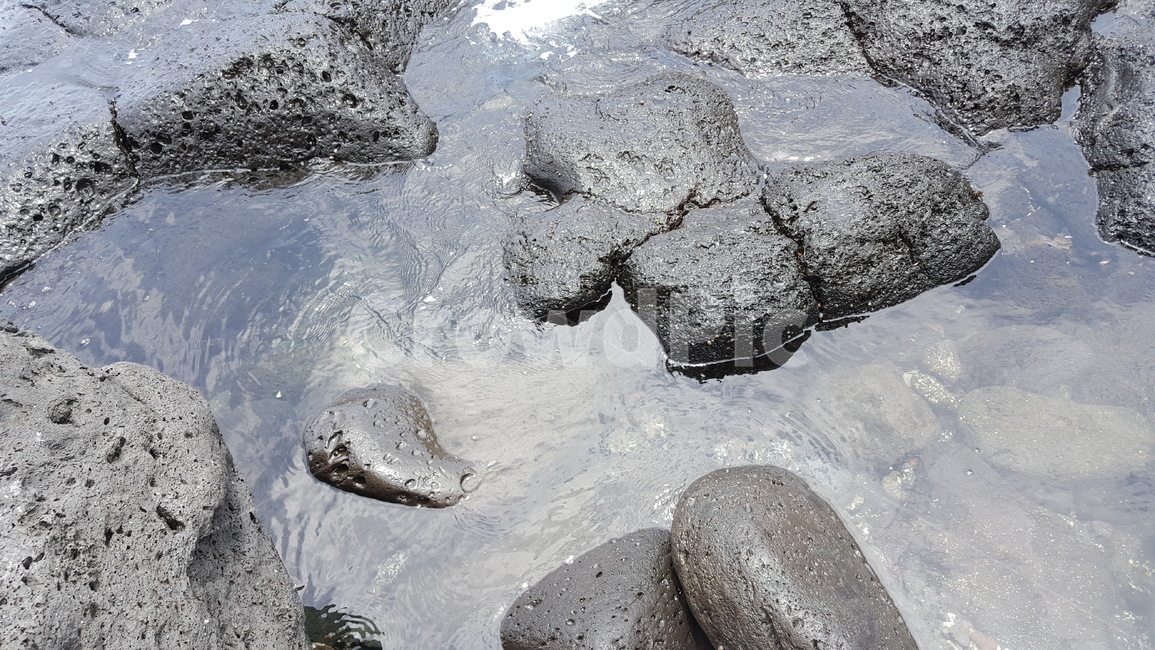 제주도,해변가,돌,stone,jeju,jejuisland