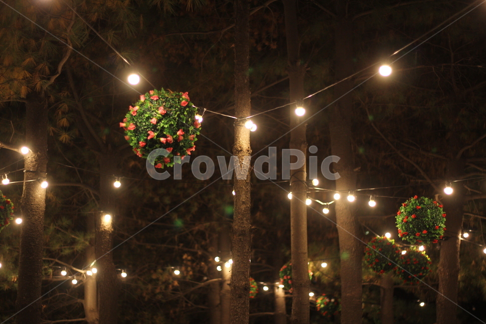 공원,야경,조명등,전구,나무,야경,밤,풍경,nightscape,night,landscape,감성,sensible,feeling,lighting,조명,light,빛,flare,플레어,lamp post,램프 포스트