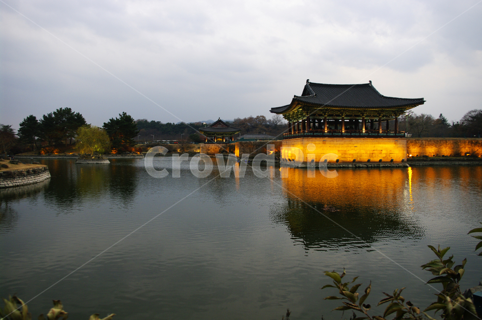 안압지,연못,경주,건축,지붕,traditional,전통,조명,빛,나무,야경,밤,풍경,nightscape,night,landscape,한국전통,한국문화,korean traditional,korean culture,랜드마크,landmark,tourist attraction,한국랜드마크,한국관광지,한국명소,korea landmark,korea tourist attraction,건축물,건물외관,exterior,building,structure,architecture,construction