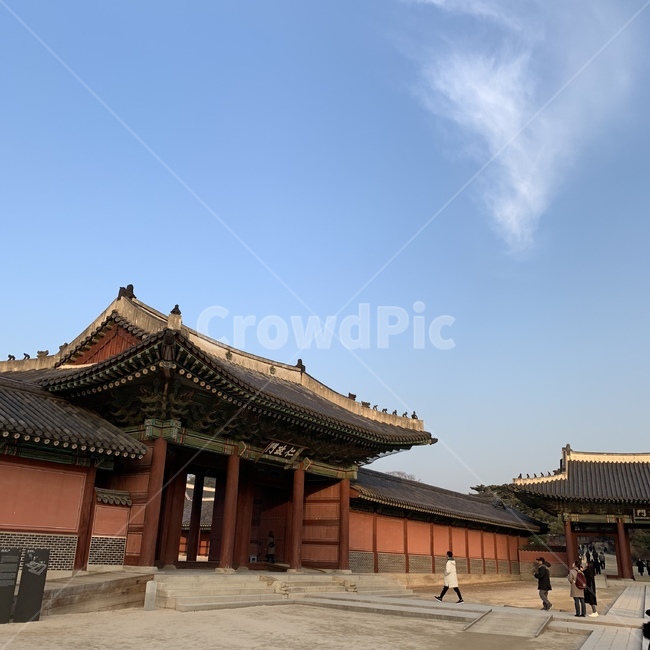 창경궁,궁궐,한국,전통,기와,하늘,지붕,고궁,기와집,한옥,처마,조선,역사,코리아,서울,seoul,korea,tree