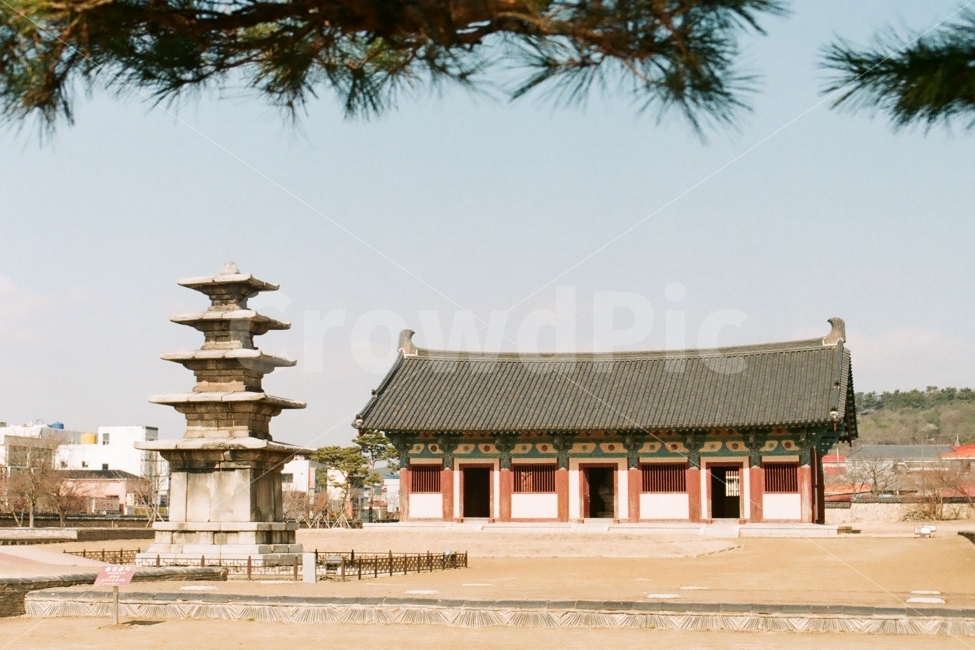 정림사지,정림사지5층석탑,정림사지오층석탑,부여정림사지,필름사진,랜드마크,landmark,tourist attraction,한국전통,한국문화,korean traditional,korean culture,종교,신앙,religion,belief,faith,감성,sensible,feeling