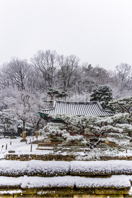 겨울,설경,정자,풍경,전통,명소,겨울,계절,winter,season,자연,풍경,nature,landscape,한국자연풍경,한국자연경관,korea nature landscape,한국전통,한국문화,korean traditional,korean culture,outdoors,옥외
