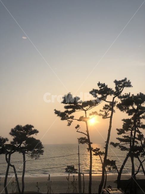 nature,자연,붉은하늘,redsky,하늘,sky,빛,해변,바다,beach,sea
