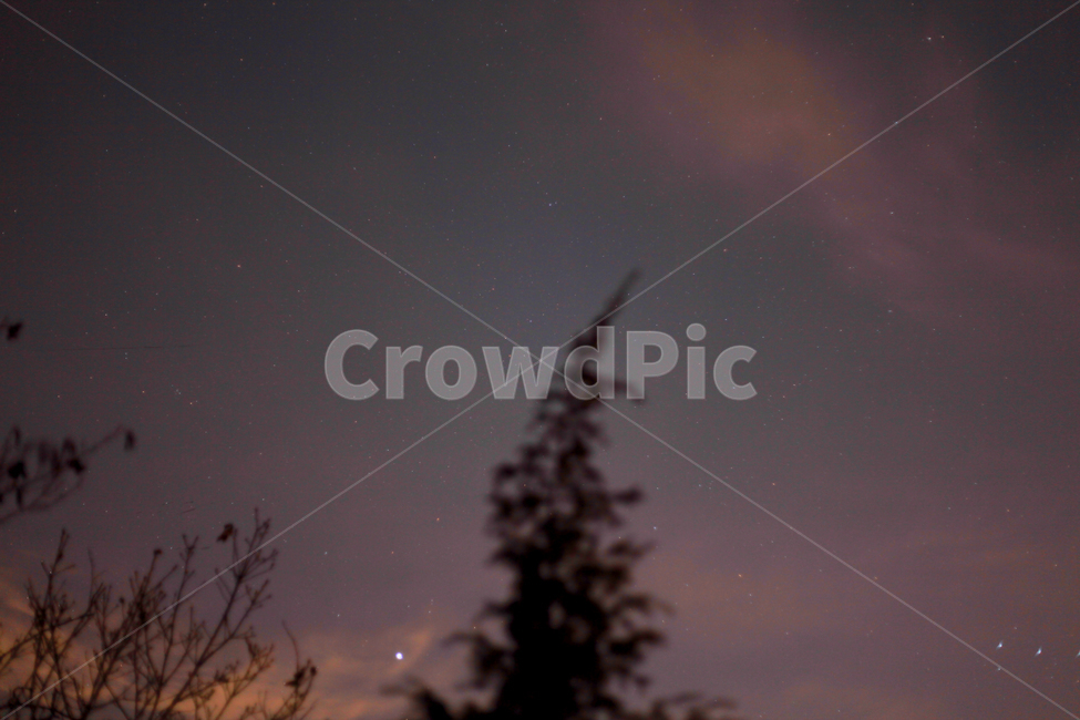 별,밤,밤하늘,하늘,나무,야경,밤,풍경,nightscape,night,landscape,nature,자연,outdoors,옥외,outer space,대기권 밖,universe,우주,astronomy,천문학,starry sky,별이 빛나는 하늘