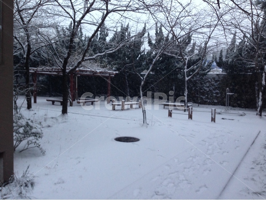 벤치,outdoors,옥외,nature,자연,furniture,가구,눈,snow