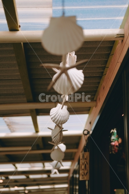 여름,조개,빈티지,해변,오키나와,Summer,Shellfish,Vintage,Beach,감성,sensible,feeling,인테리어,실내디자인,interior design