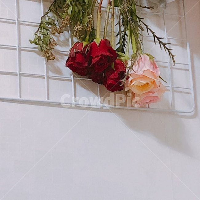 장미,꽃,빨간장미,flower,rose,분홍장미,빨강색,분홍색,감성사진,감성,향긋,향긋한,마음,사랑,행복,고백,가시,드라이플라워,dryflower,flourist,플로리스트,분홍색장미,빨간색장미,pinkrose,redrose,gift,꽃선물,선물