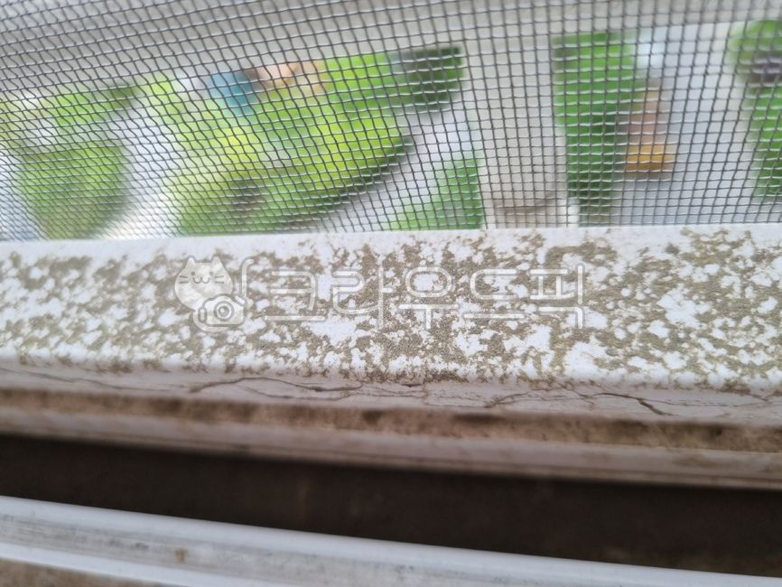 fine dust,living room window,window,veranda window,dust,window frame