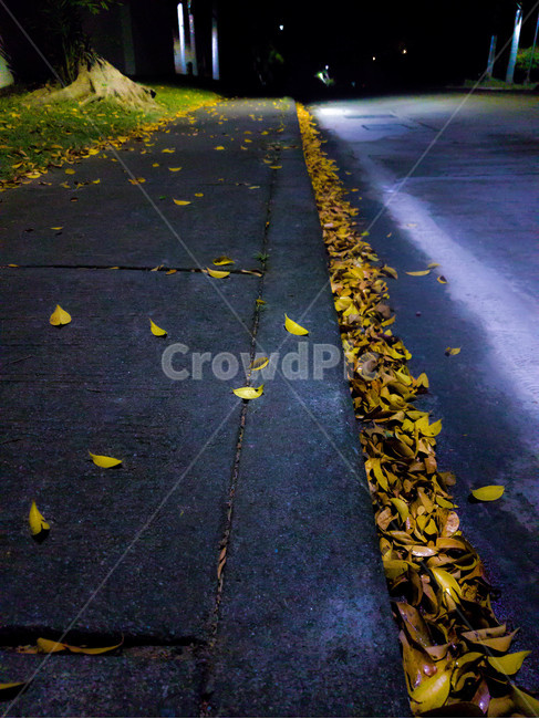 아스팔트,asphalt,길,밤,낙옆,고요함,라인,저녘,가을