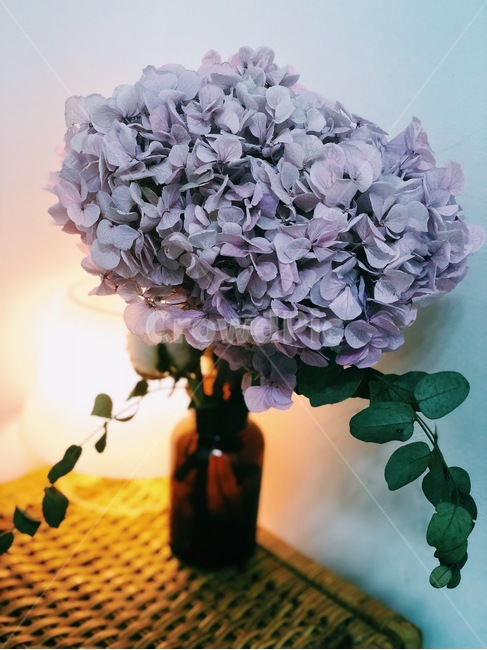 홈인테리어,수국,드라이플라워,라탄,조명,꽃,flower,실내용화초,화분,화초,house plant,인테리어,실내디자인,interior design