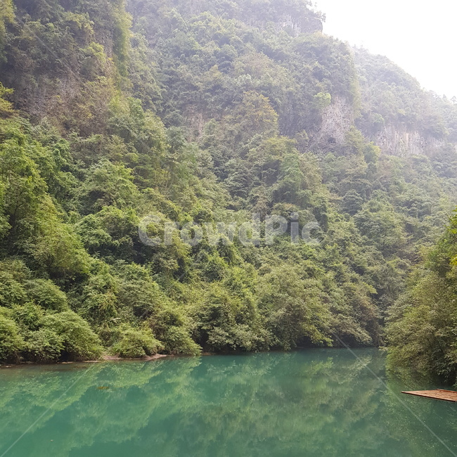 vegetation,plant,식물,초목,물,자연,옥외,자연,풍경,nature,landscape